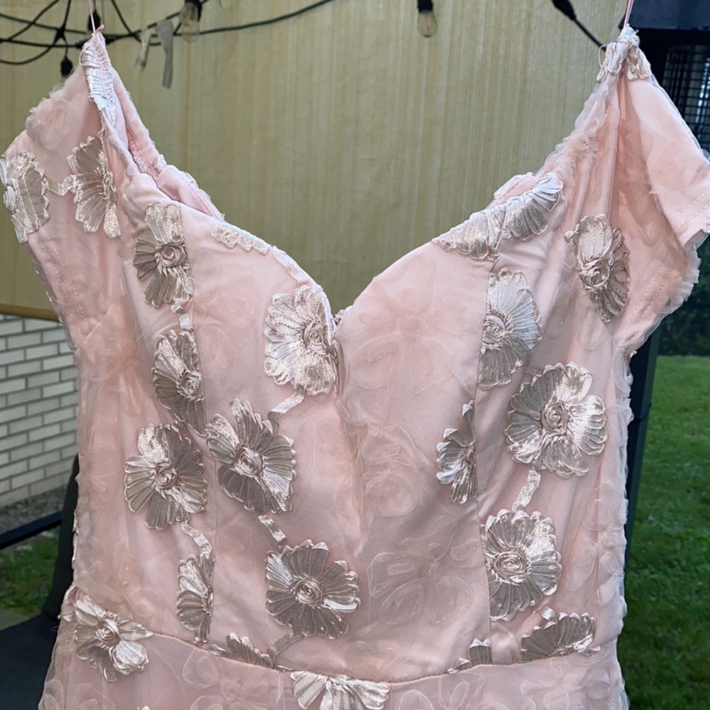 ❌DONATED❌Blush Pink Sweetheart Neckline Floral Mesh Overlay Lined Dress - Picture 8 of 16